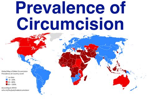 reddit circumcision|circumcised or not reddit.